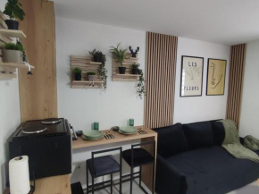 Studio apartman Čolić